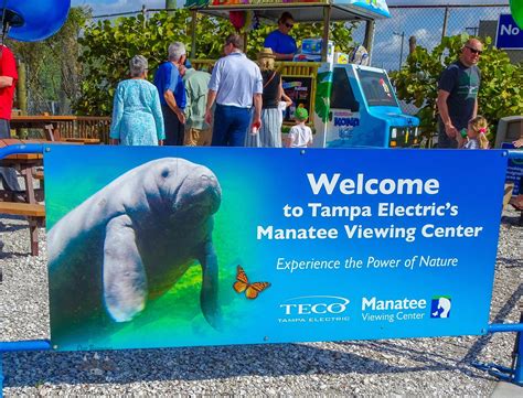 Manatee Viewing Center - Apollo Beach Florida - Our Roaming Hearts