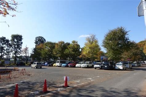 栃木県中央公園へのアクセス方法と駐車場は？開園時間は？ 歩いてみたブログ