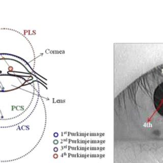 The Change Of Distance Between Dual Purkinje Images According To