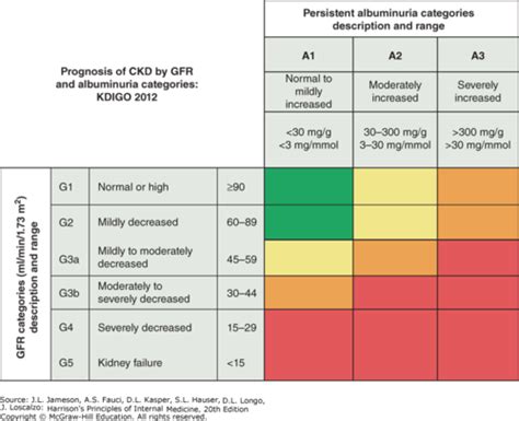 Renal Part II Flashcards | Quizlet