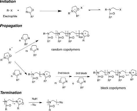 Schematic Representation Of The Initiation Propagation And