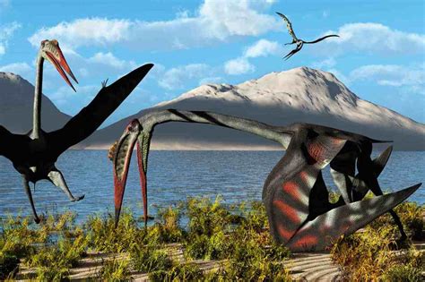 New Research Discovers How One Of The Largest Known Flying Animals Ever