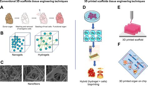 Comparison Of Conventional And Modern D Printed Scaffold Based Tissue