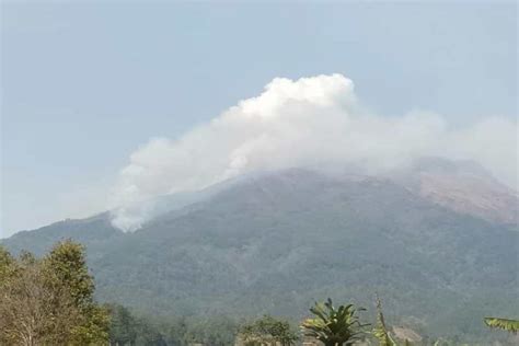 Api Di Gunung Sumbing Telah Lahap 16 Hektare Lahan Antara News