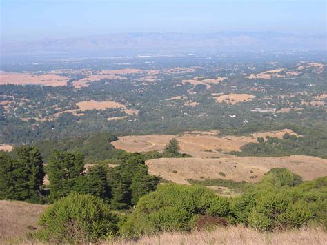 Windy Hill Open Space Preserve