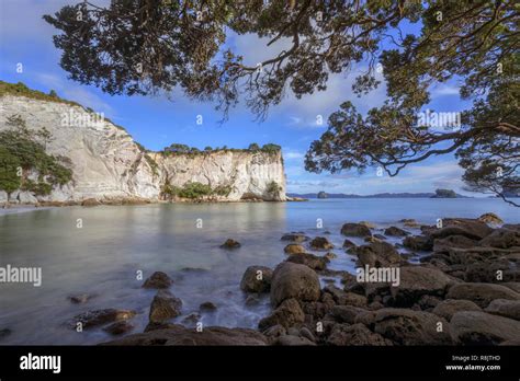 Cathedral Cove Hahei Coromandel Peninsula North Island New Zealand