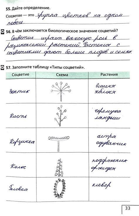 (Решено)Стр.33 ГДЗ Рабочая тетрадь Сонин 6 класс по биологии
