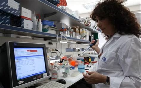 Molecular genetics expert Adi Kimchi wins Israel Prize for life ... 