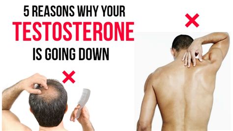 5 Reasons Why Your TESTOSTERONE Level Is Going Down Things That