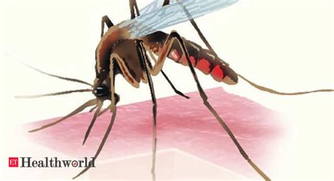 Sharp Rise In Patients With Dengue Malaria Symptoms Health News Et