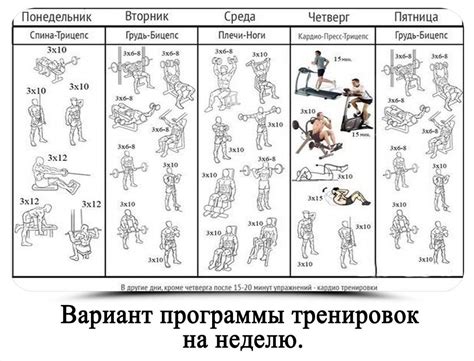 Программа тренировок для начинающих в тренажерном зале
