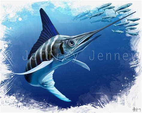 Striped Marlin Print Fine Art Print From An Original