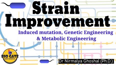 Microbial Strain Improvement Industrialmicrobiology Youtube