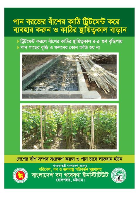 sobuj bangladesh sbuj sobuj bangladesh sbuj banglades