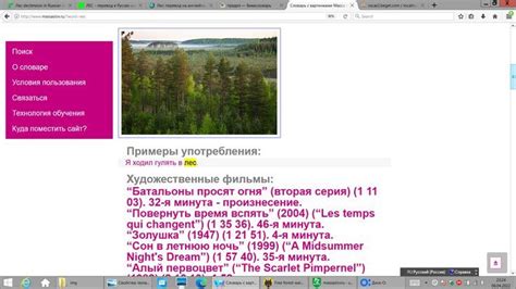 Словарь с картинками Масса Слов