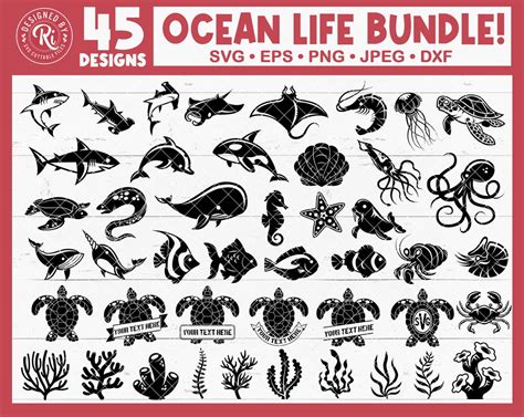 Sea Animals Svg Bundle Sea Life Svg Ocean Animals Svg Bundle Marine