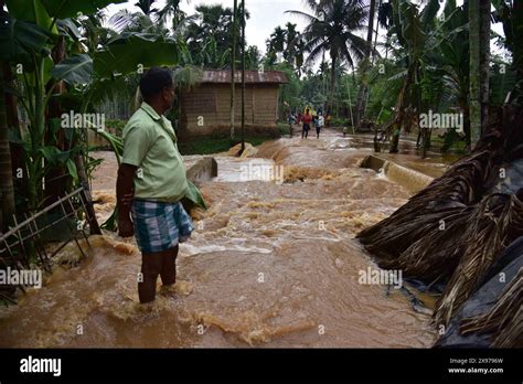 240529 Assam India May 29 2024 Xinhua A Villager Stands