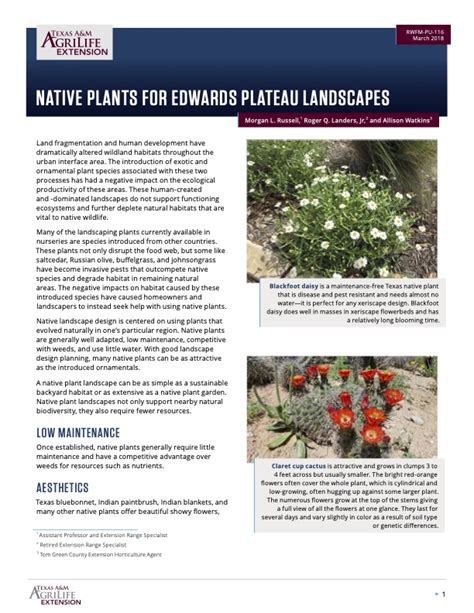 Native Plants for Edwards Plateau Landscapes | Publications | AgriLife ...