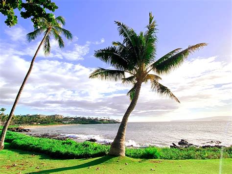 Hotel Review Wailea Beach Resort A Marriott In Maui