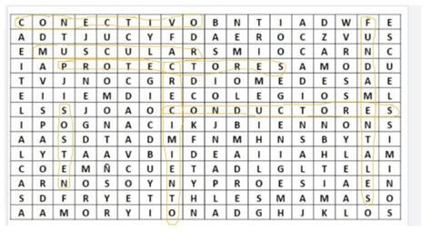 Encuentra En La Siguiente Sopa De Letras Los Diferentes Tipos De Tejidos Vegetales Por Favor