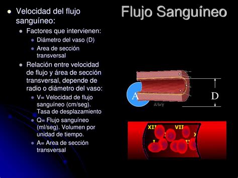 Flujo Sanguineo Icono