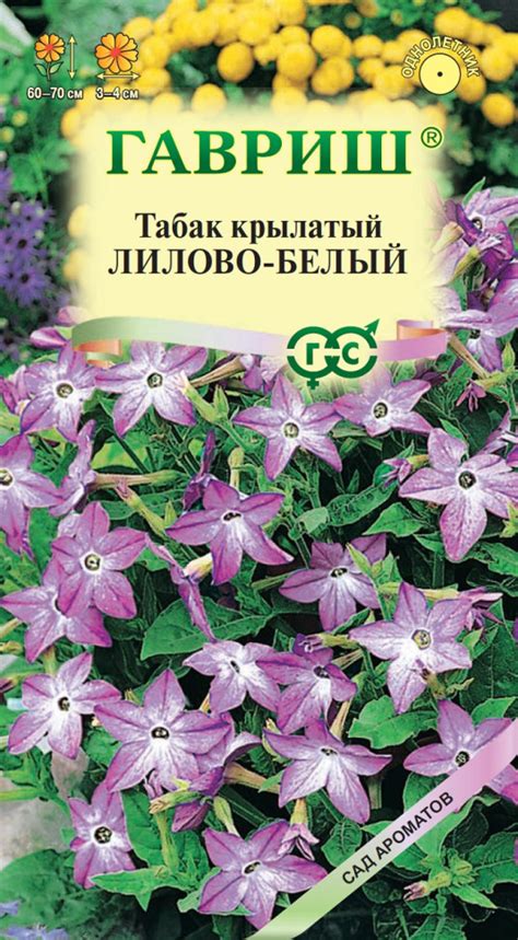 Семена Табак душистый Лилово-белый, 0,05г, Гавриш, Сад ароматов по цене ...