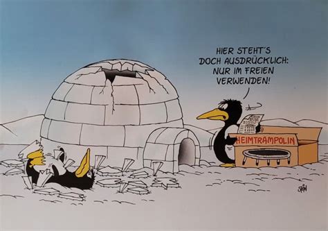 Pin Von Birgitte Auf Bilder Und Cartoons Trampolin Im Freien