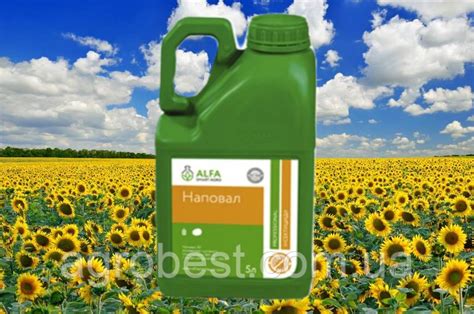 Купить Инсектицид Наповал 5 л Alfa Smart Agro, цена 4920 ₴ — Prom.ua ...