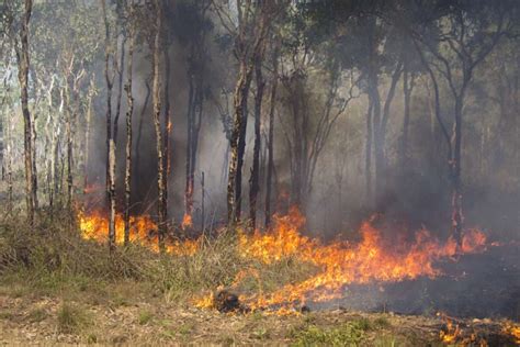 Savanna Burning | Climate Friendly