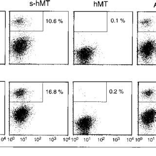 Flow Cytometric Analysis Of LPS Stimulated Splenic B Cells Of Pooled