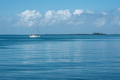 How community conservation is saving the Belize Barrier Reef - Travel Tramp