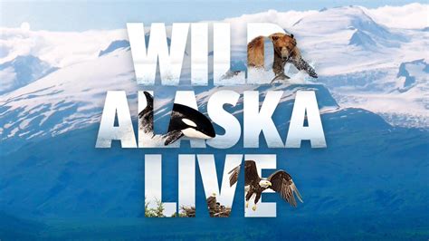 Stream Wild Alaska Live Seasons & Full Episodes | PBS SoCal