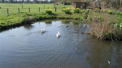 Island Farm Donkey Sanctuary | Day Out With The Kids