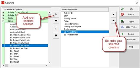 Setting A Baseline In Primavera P A Complete Guide