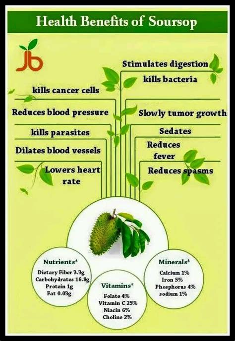 Health Benefits Of Soursop Fruit Thingscouplesdo