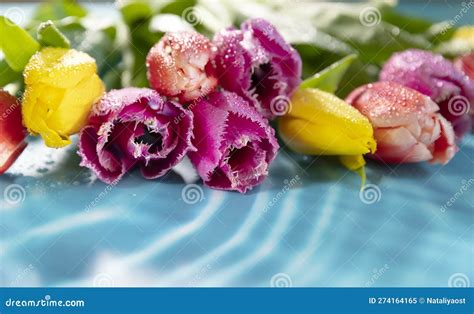 Bouquet Of Delicate Tulips On A Light Blue Background In Water Stock