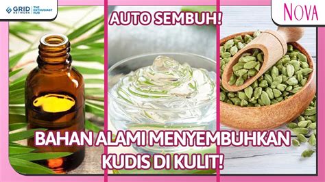 Cara Menghilangkan Kudis Di Kulit Cuman Pakai Bahan Alami Kulit