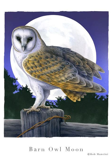 Bird Illustration Barn Owl Moon Bird Art By Robmanciniimages Bird