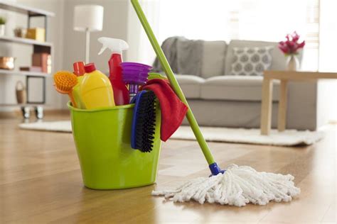 Effective Home Cleaning Tips - Go To Home Stay