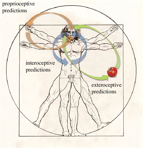 Inference And Perception Across Different Modalities Green Arrows