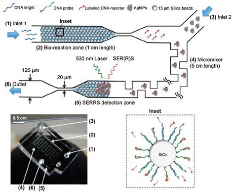 Preparation And Application Of Microfluidic SERS Substrate Challenges