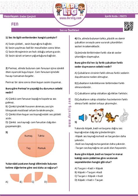 S N F Ses Ve Zellikleri Test Pdf