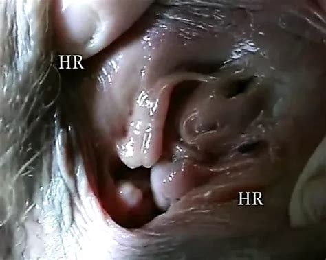 Amateur Swingers Scene In Femmine In Calore Ieri E Oggi Vol Xhamster