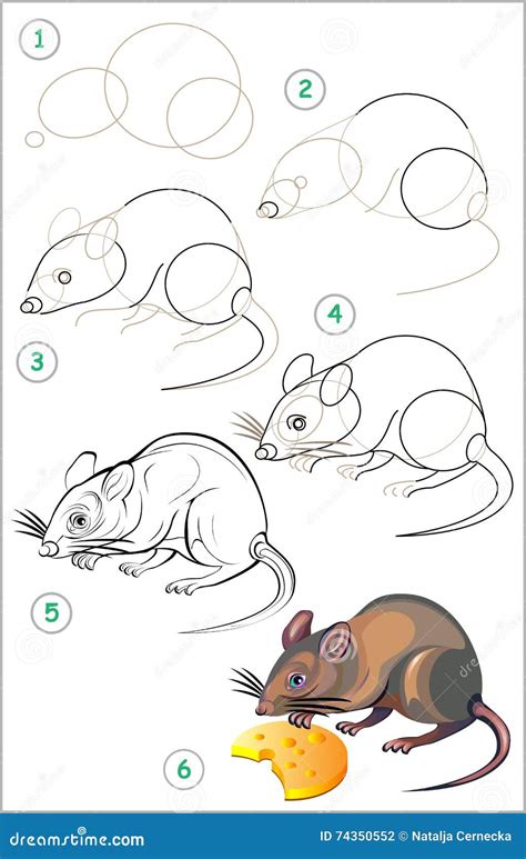 Page Shows How To Learn Step by Step To Draw a Rat. Stock Vector ...