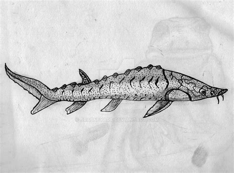 Iliamna Lake Monster - White Sturgeon by JRAbneyart on DeviantArt