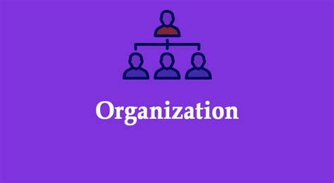 What Is An Organization Definition Characteristics Types And