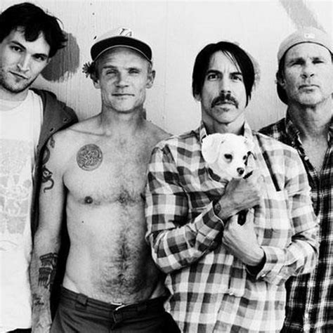 Pen Drive M Sicas Red Hot Chili Peppers