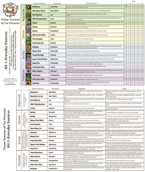 Printable Bach Flower Remedies Chart Pdf - Printable Word Searches