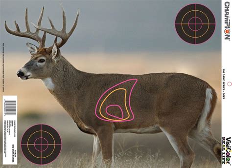 CHAMPION TARGETS 45828 VISICOLOR REAL DEER