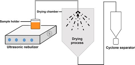 Schematic Representation Of The Modified Spray Drying Process Download Scientific Diagram